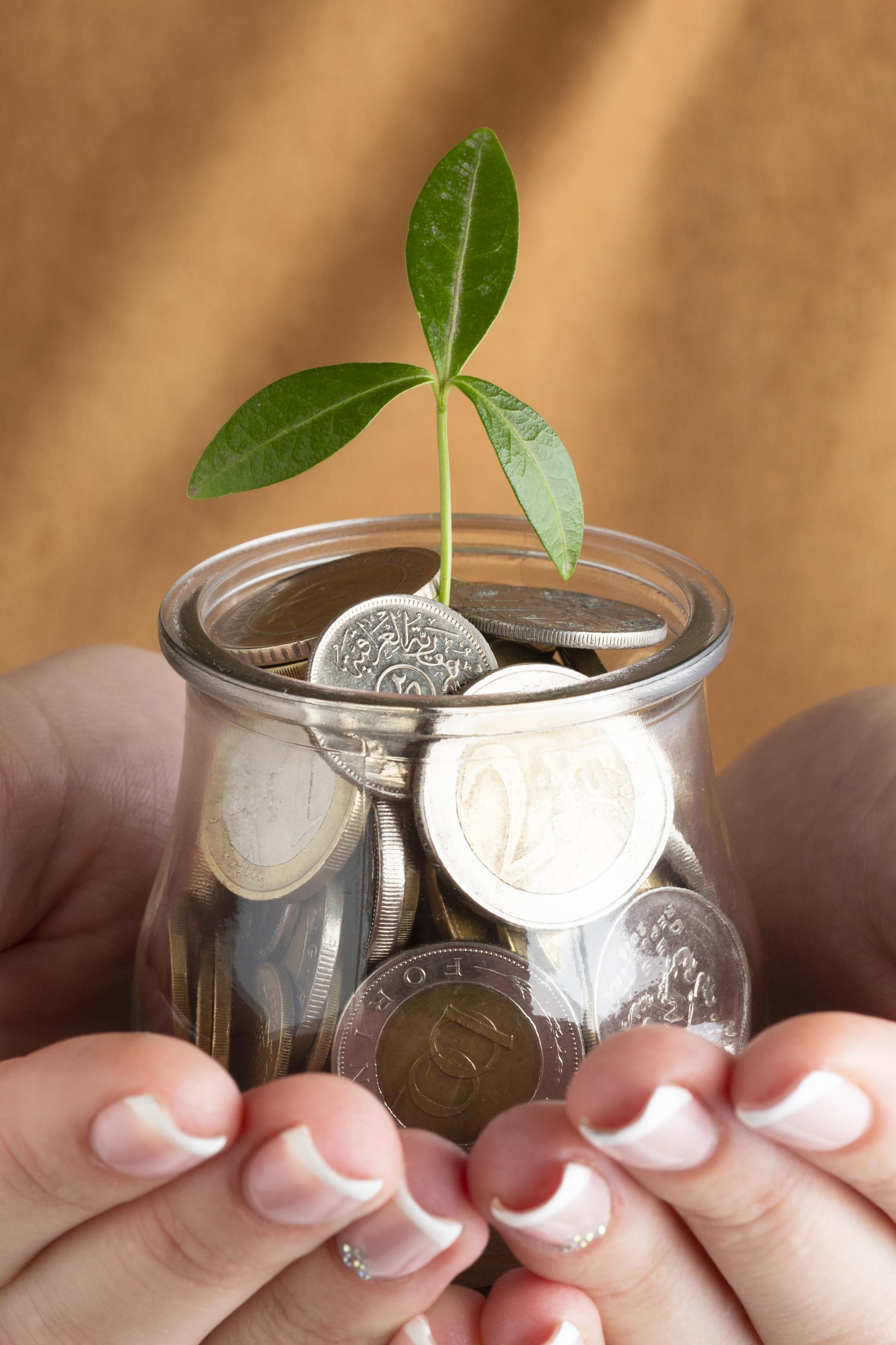 with government support through policies and financial aid to boost their development. - Cover Image